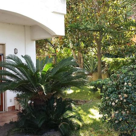Giardino Mediterraneo Lacco Ameno  Extérieur photo
