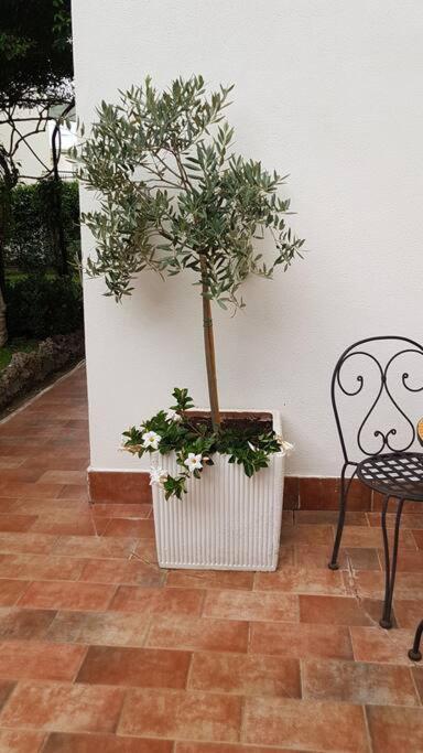 Giardino Mediterraneo Lacco Ameno  Extérieur photo