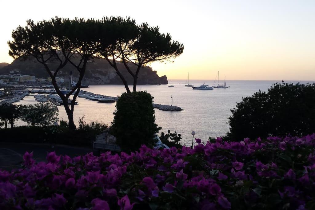 Giardino Mediterraneo Lacco Ameno  Extérieur photo