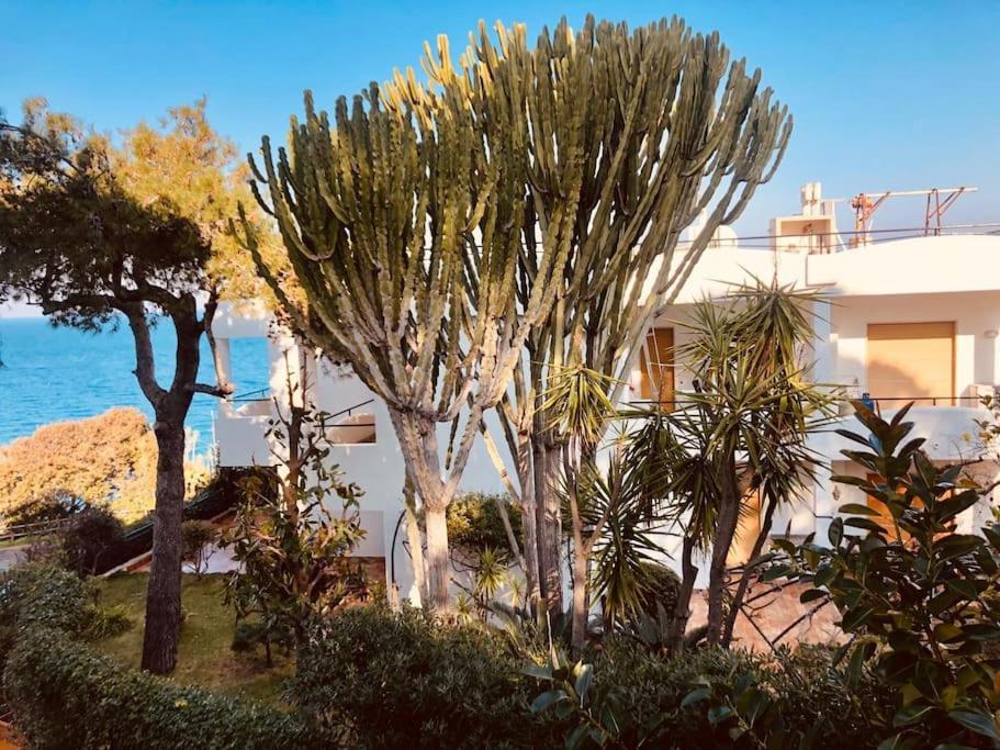 Giardino Mediterraneo Lacco Ameno  Extérieur photo