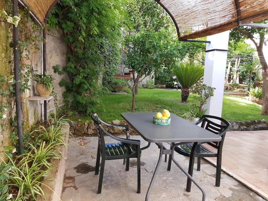 Giardino Mediterraneo Lacco Ameno  Extérieur photo