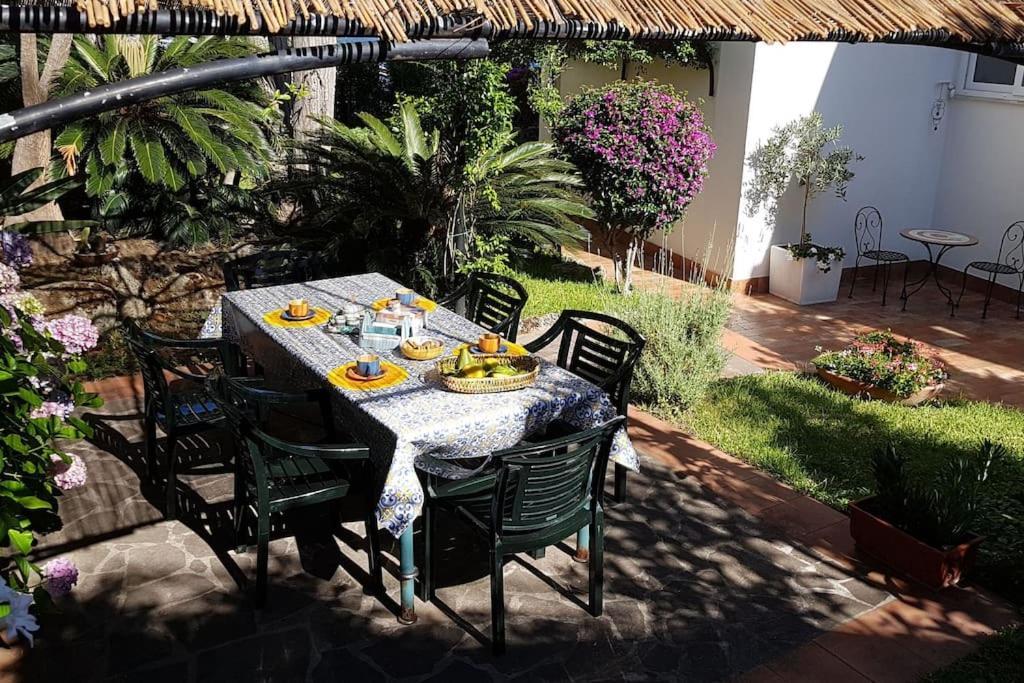 Giardino Mediterraneo Lacco Ameno  Extérieur photo