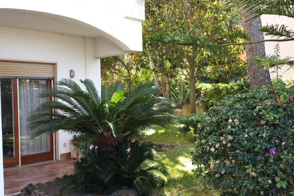Giardino Mediterraneo Lacco Ameno  Extérieur photo