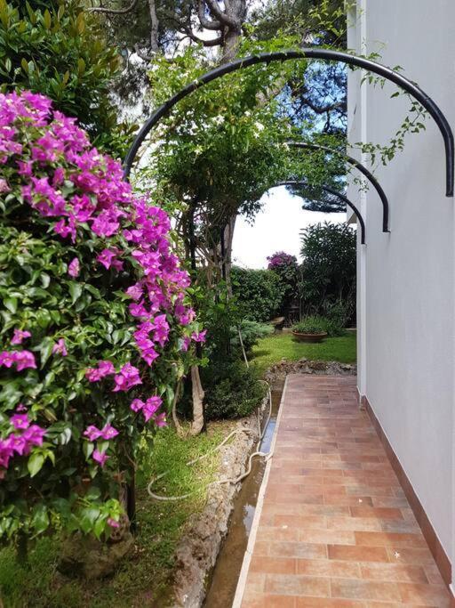 Giardino Mediterraneo Lacco Ameno  Extérieur photo