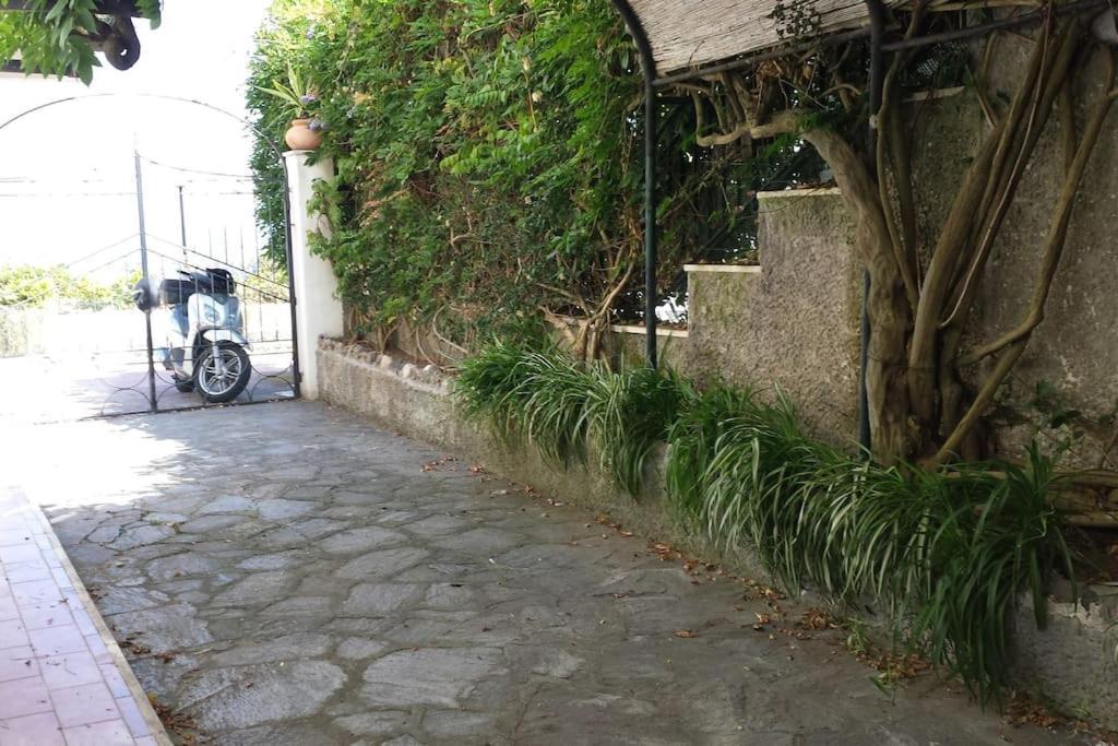 Giardino Mediterraneo Lacco Ameno  Extérieur photo
